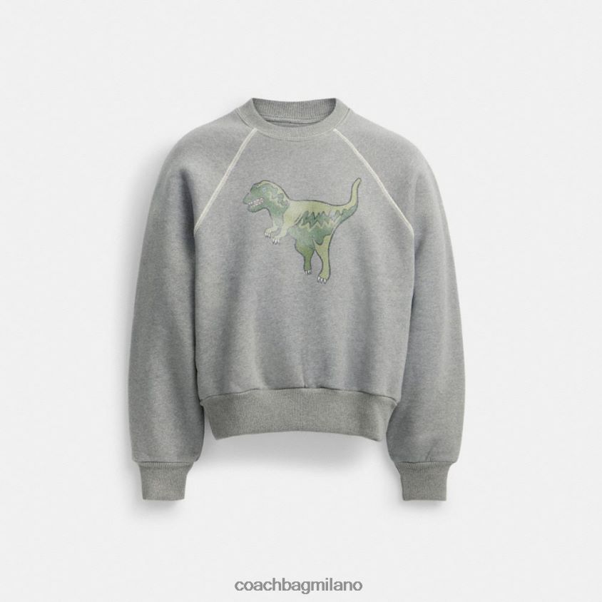 Coach donne felpa girocollo rexy grigio FPN0Z8483